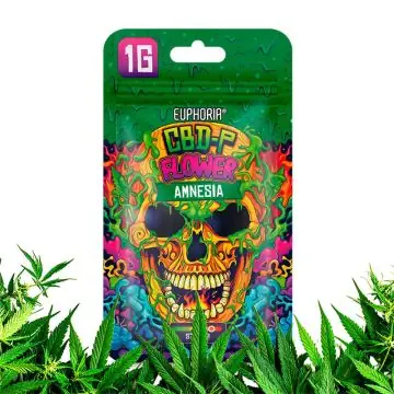 Euphoria CBD-P Flowers Amnesia Premium-Hanfblüte mit harziger Struktur