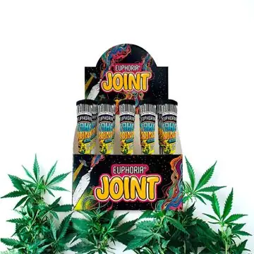Euphoria T9HC Herbal Mix Damiana OG Kush Pre-Rolled Joint Verkaufsdisplay mit Tubes