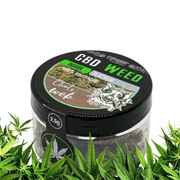Dose von Euphoria CBD Weed Greedy Pig 2.5g mit Indoor CBD Blüten