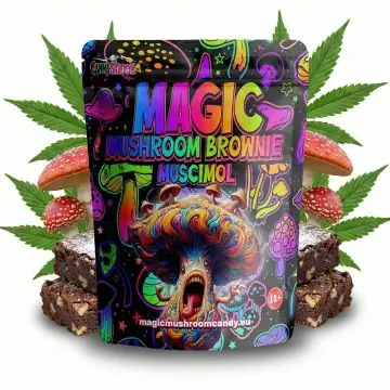 CANNAShock Magic Mushroom Brownie - saftig gebackener Schokobrownie in Einzelverpackung