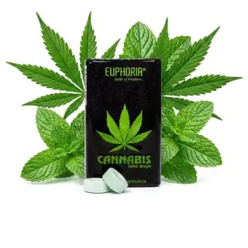 Euphoria Cannabis Minz Tropfen in der kompakten Pipettenflasche mit frischen Minzblättern im Hintergrund