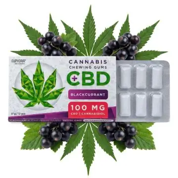 Euphoria CBD Chewing Gum Blackcurrant Verpackung mit Hanfblatt-Motiv und schwarzen Johannisbeeren