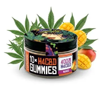 Euphoria H4CBD Gummies Mango Dose mit fruchtigen H4CBD Aromagummis