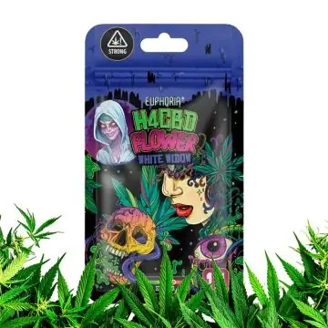 Euphoria 25 Prozent H4CBD Flowers White Widow Nahaufnahme der harzigen Knospe