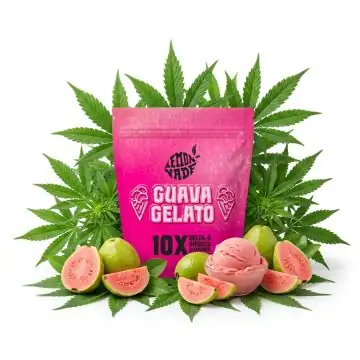 cookies-infused-gummies-guava-gelato-50g.jpg
