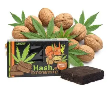 Euphoria Brownie Cannabis & Walnuss