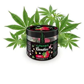 Euphoria Cannabis Bonbons Rasta Classic in der typischen Blechdose mit Hanfblatt