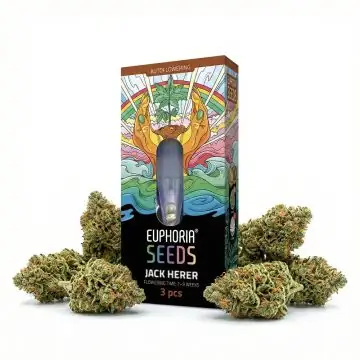 Euphoria feminisierte Cannabissamen Jack Herer in geschützter Originalverpackung