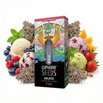 Euphoria Gelato Autoflower-Hanfsamen Verpackung und Samen auf neutralem Hintergrund