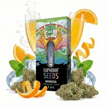 Euphoria Mimosa feminisierte Cannabissamen Verpackung