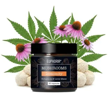 Euphoria Mushrooms Immunity Blend Echinacea und Lions Mane Packung