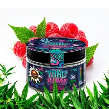 Euphoria T9HC Flowers Herbal Mix Raspberry Chemdawg 3 g Tiegel mit fruchtigem Himbeer-Aroma
