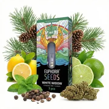 Euphoria White Widow Autoflower Hanfsamen Verpackung mit detailreichen Cannabis-Samen