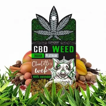Euphoria CBD Weed Greedy Pig 0,7 g getrocknete Hanfblüten