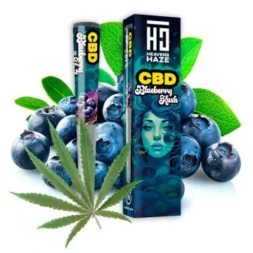 HEAVENS HAZE CBD Blueberry Pre-Rolled Joint in der praktischen, luftdichten Acryl-Schutzhülle für unterwegs