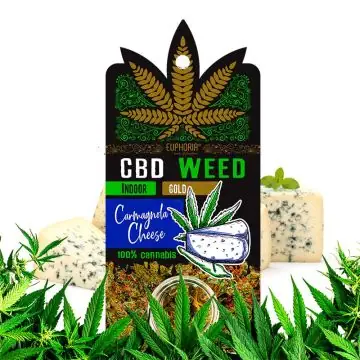 Euphoria CBD Weed Carmagnola Cheese 0,7g Packung mit aromatischen CBD Blüten