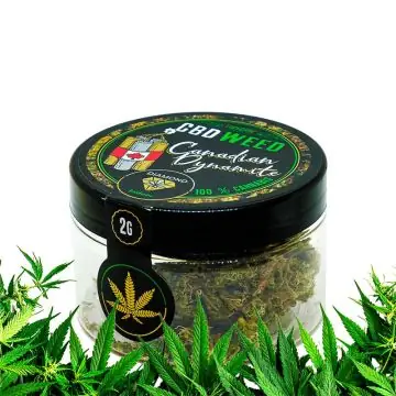 Dichte grüne Euphoria Canadian Dynamite CBD-Blüten in der 2 g Packung