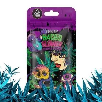 Euphoria 40 % H4CBD Flowers Purple Punch Hanfblüte in Nahaufnahme mit violetter Färbung