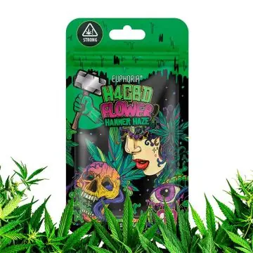 Euphoria 40 Prozent H4CBD Flowers Hammer Haze Hanfblüten nahaufnahme