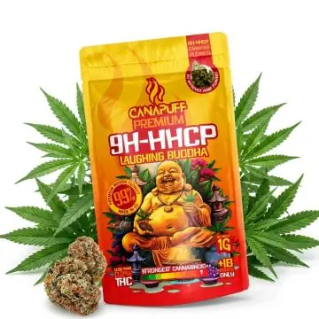 prod_9h-hhcp-blueten-lachend-buddha-60.jpg