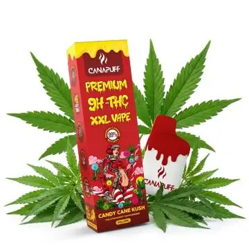 prod_9h-thc-xxl-vape-sussigkeit-zuckerrohr-kush-99-2ml.jpg