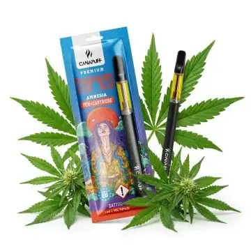 prod_canapuff-amnesia-thp420-79-kartusche.jpg