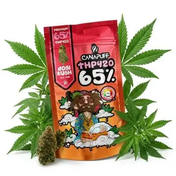 prod_canapuff-dosi-kush-65-thp420-blueten.jpg