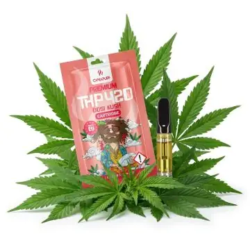 prod_canapuff-dosi-kush-thp420-79-kartusche.jpg