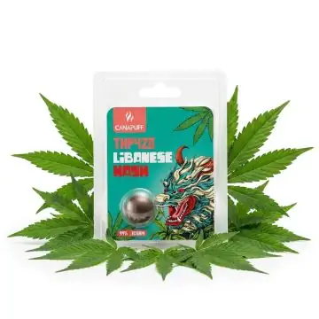 prod_canapuff-hash-libanese-thp420-99-kaufen.jpg