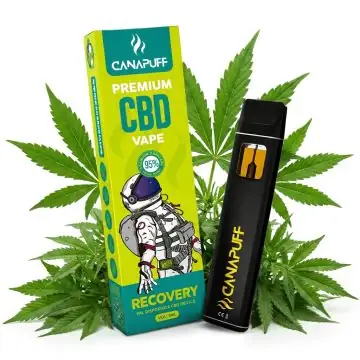 prod_recovery-95-cbd-canapuff-einweg-1ml.jpg