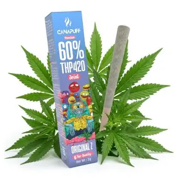 prod_thp420-flussig-1-500mg-original-z.jpg