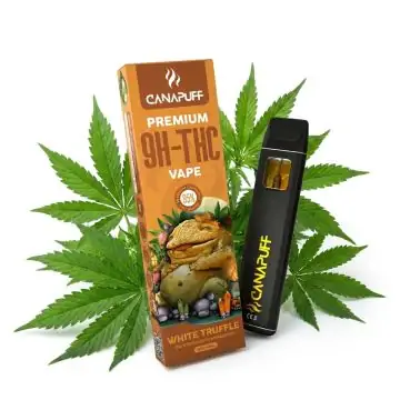 prod_white-truffle-95-10-oh-thc-canapuff-einweg-1ml.jpg