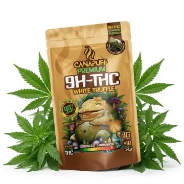prod_wholesale-canapuff-white-truffle-60-10-oh-thc-blueten.jpg