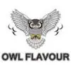 OWL Logo