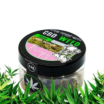 Euphoria CBD Weed Therapy 2,5 g Packung mit getrockneten CBD-Blüten aus EU-Nutzhanf