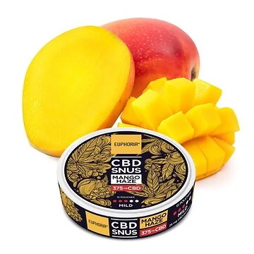 Euphoria CBD Snus Mango Haze Dose mit nikotinfreien Pouches und fruchtigem Mango-Geschmack