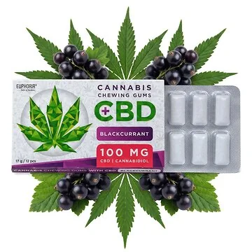 Euphoria CBD Chewing Gum Blackcurrant Verpackung mit Hanfblatt-Motiv und schwarzen Johannisbeeren