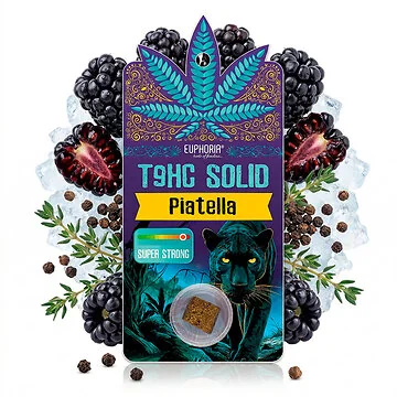 Euphoria T9HC Solid Piatella 1g Dose mit weichem Hanfkonzentrat für eine einfache Portionierung
