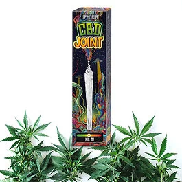 Euphoria CBD Pre-Rolled Joint fertig gedreht in originaler Verpackung