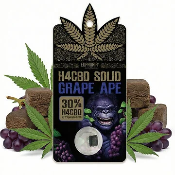 Euphoria 30% H4CBD Solid Grape Ape - festes H4CBD Extrakt Haschisch in Originalverpackung