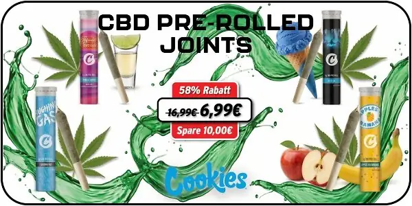 joints-600x300