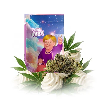 cocori-kush-merkel-cream-v6.png