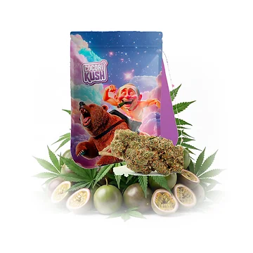 cocori-kush-poutine-og-v5.png