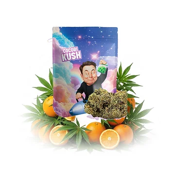 cocori-kush-elon-dream-v5.png
