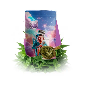 cocori-kush-poop-rock-v5.png