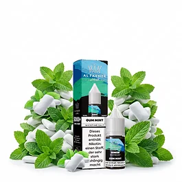 Al Fakher Liquid Gum Mint 10 ml Flasche