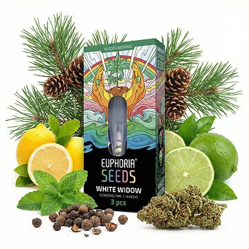 Euphoria White Widow Autoflower Hanfsamen Verpackung mit detailreichen Cannabis-Samen