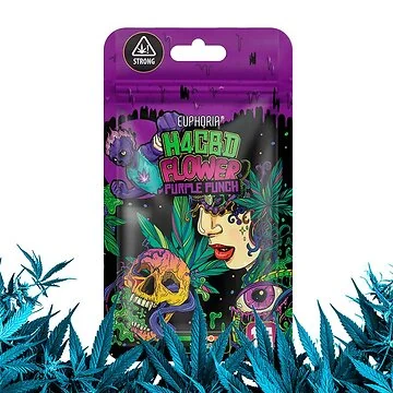 Euphoria 40 % H4CBD Flowers Purple Punch Hanfblüte in Nahaufnahme mit violetter Färbung