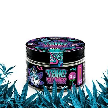 Euphoria T9HC Flowers Northen Lights 3 g Dose mit getrockneten Blüten vor neutralem Hintergrund