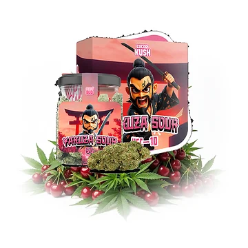 cocori-kush-yakuza-sour-v5.png